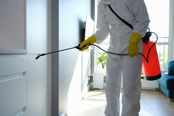 Best Post-Remediation Services in Ruston, WA